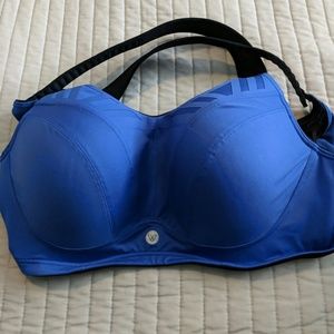 Lane Bryant Sports Bra